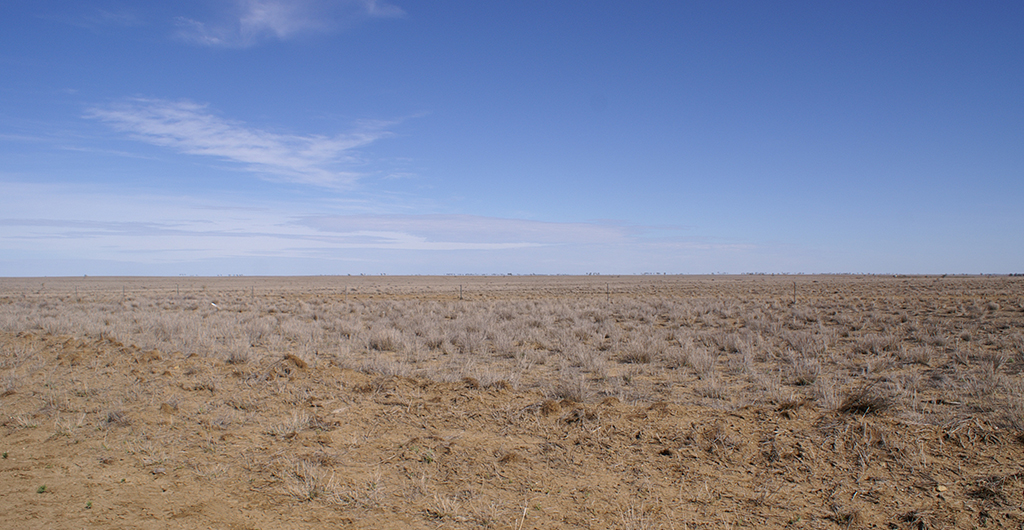 Drought 2019 Large